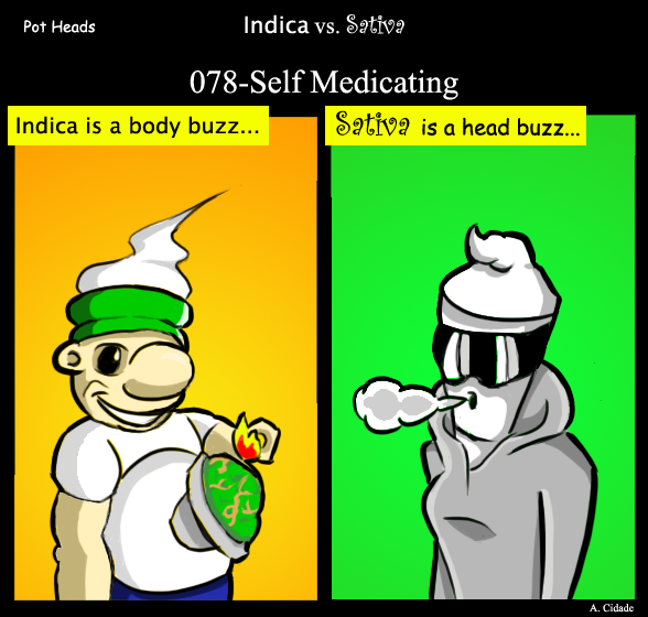 078-self medicating